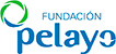 Fundación Pelayo